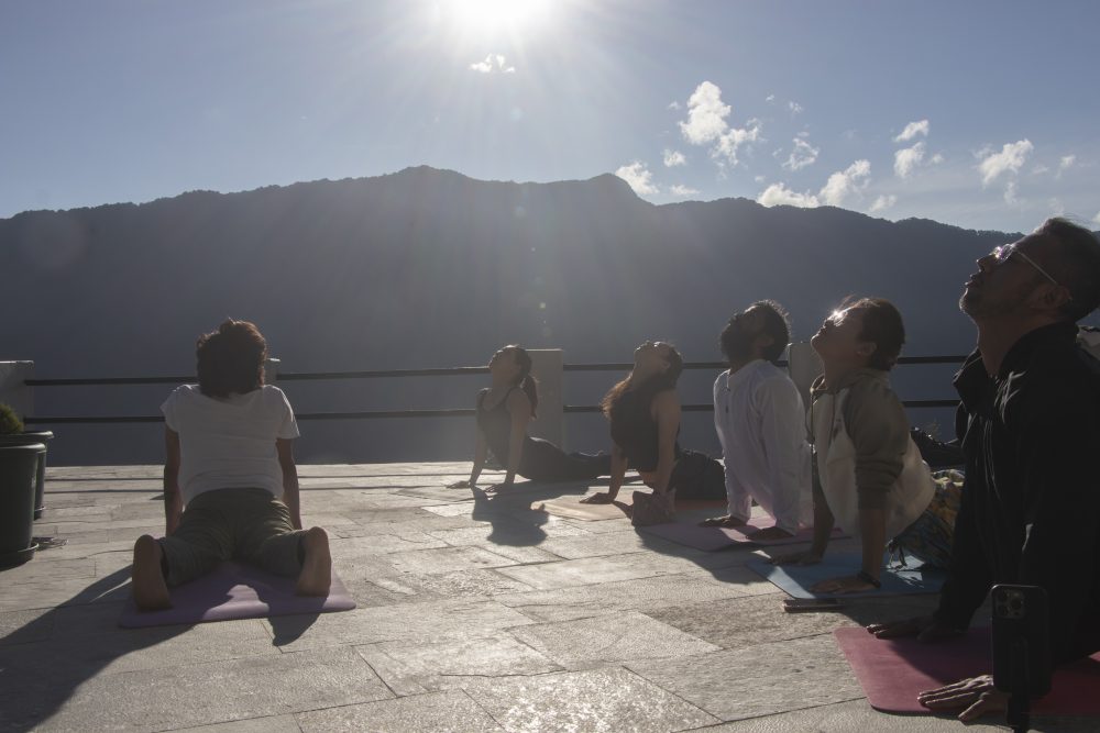 Hatha Alignment